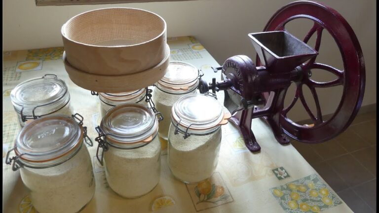 Faire sa farine de chataigne