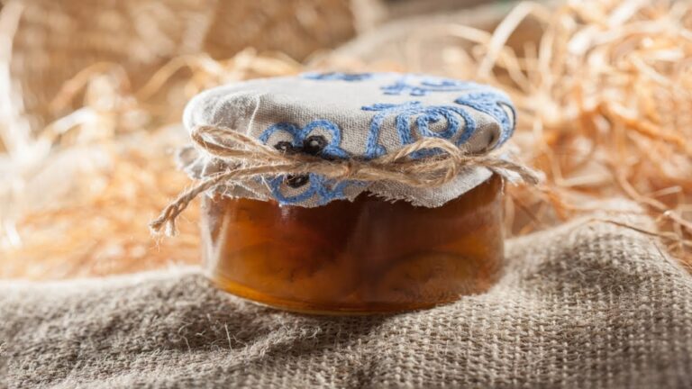 Comment cuisiner les chataignes en bocaux