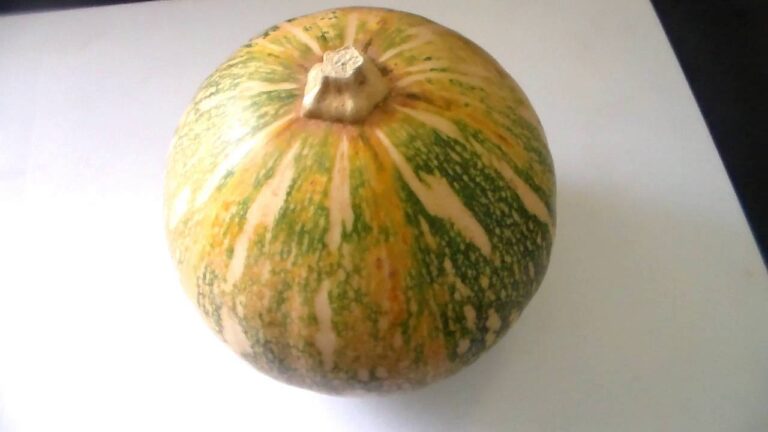 Recette potimarron poisson lait de coco