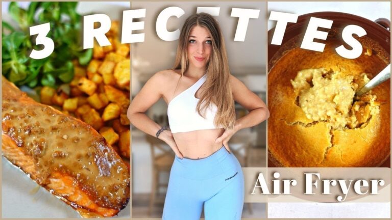 Recettes friteuse sans huile pdf
