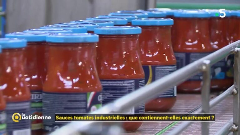 Différence entre coulis et sauce tomate