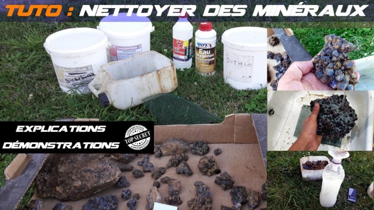 Comment nettoyer une rose des sables