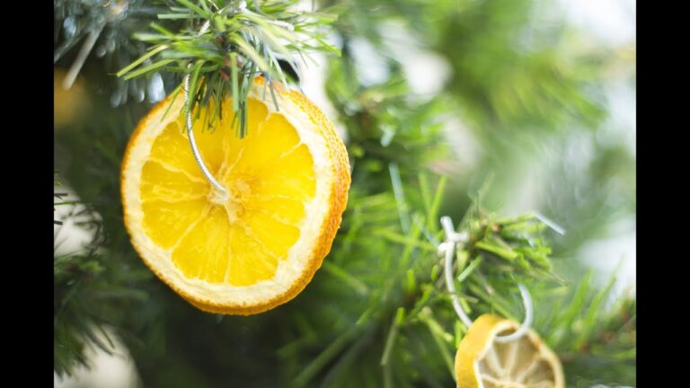 Faire secher des agrumes au four