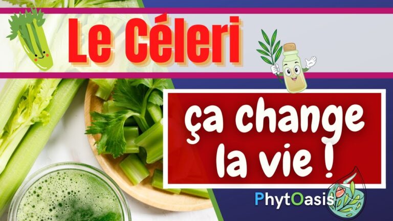 Huile essentielle pour les reins