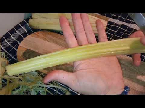 Cuisson des cardons &agrave; l autocuiseur