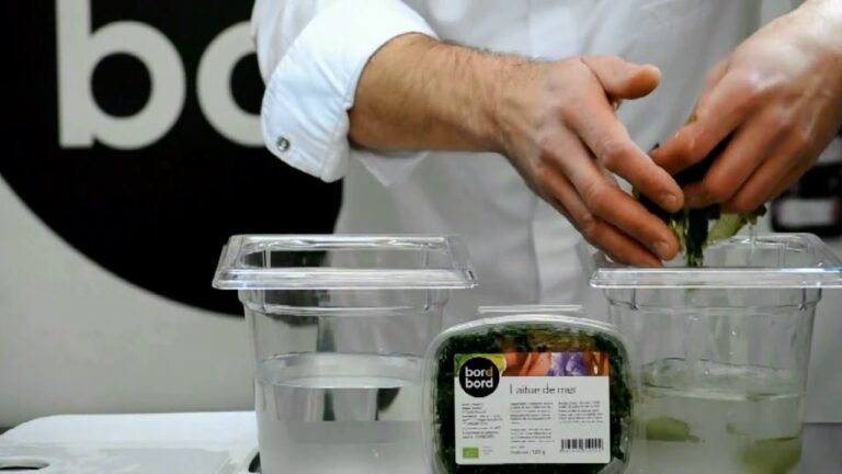 Comment manger la laitue de mer