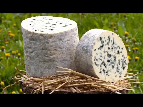 Que faire avec du vieux fromage