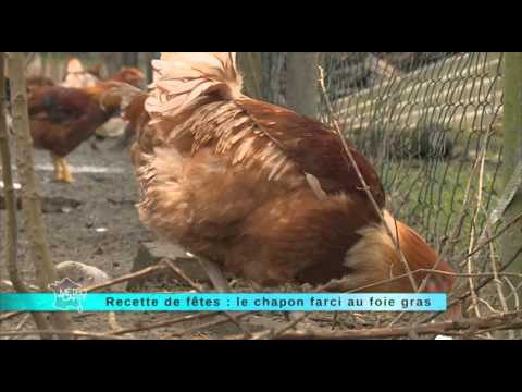 Vin pour chapon farci au foie gras