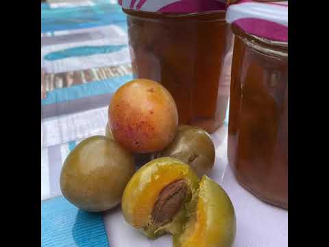 Confiture de prunes jaunes thermomix