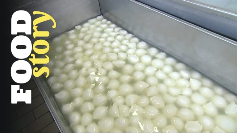 La mozzarella se fait avec son lait