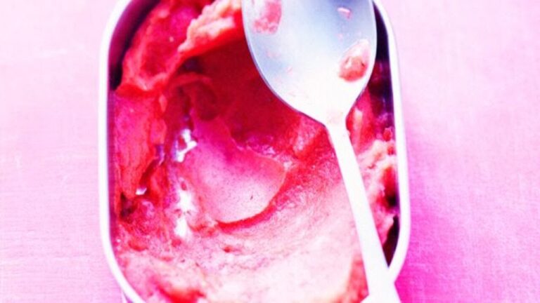 Cr&egrave;me glac&eacute;e aux fruits rouges avec sorbeti&egrave;re