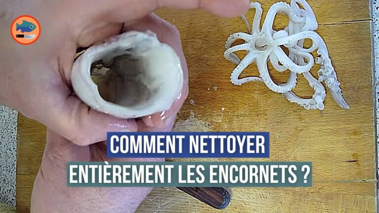 Comment nettoyer des calamars frais